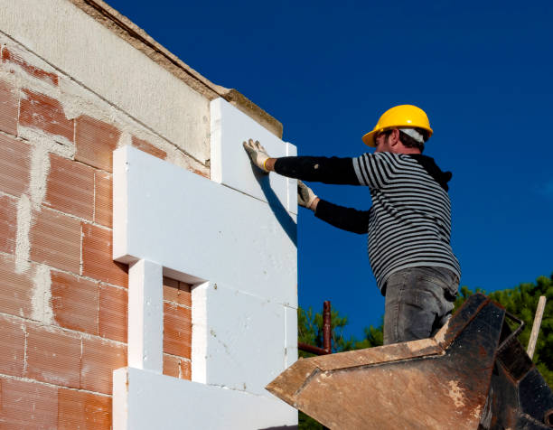 Best Energy Efficiency Insulation in Valrico, FL
