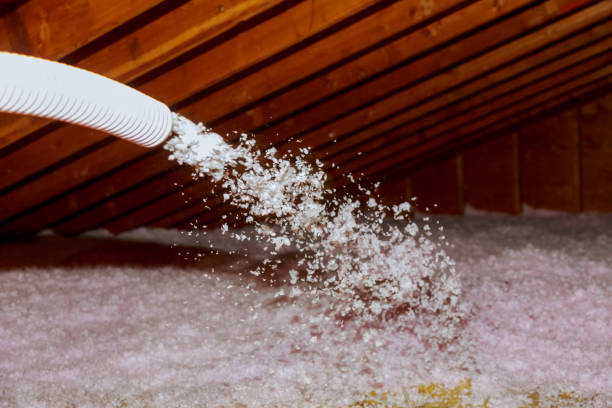 Best Specialized Insulation Services in Valrico, FL