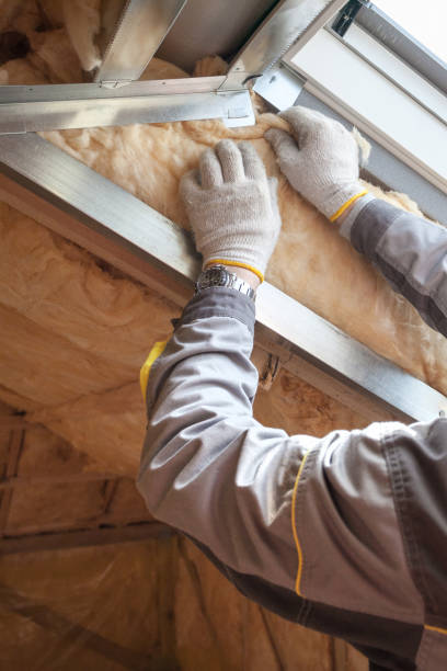 Best Residential Insulation in Valrico, FL