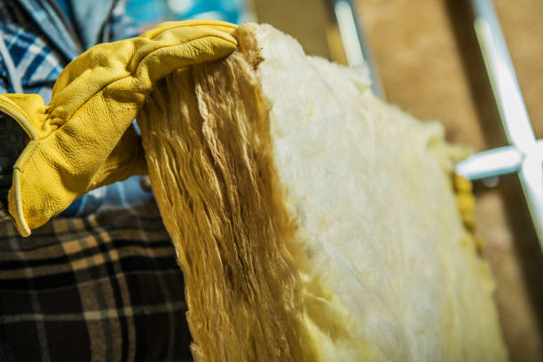 Best DIY Insulation Kits and Guidance in Valrico, FL