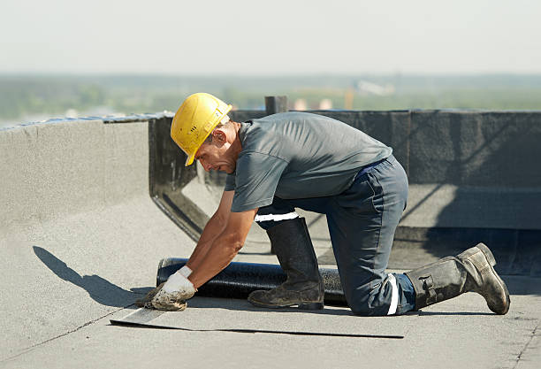 Best Spray Foam Insulation in Valrico, FL