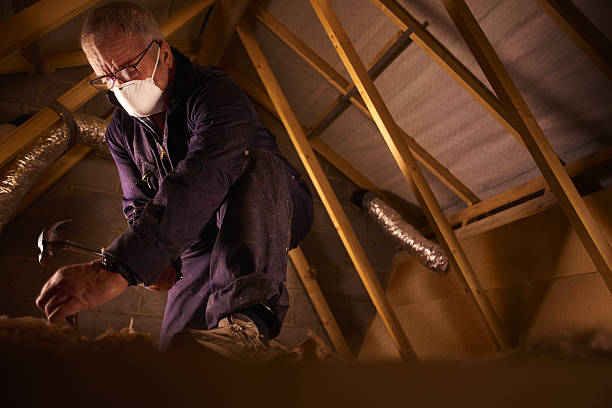Best Fiberglass Insulation in Valrico, FL