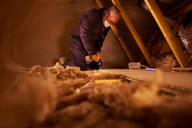 Types of Insulation We Offer in Valrico, FL